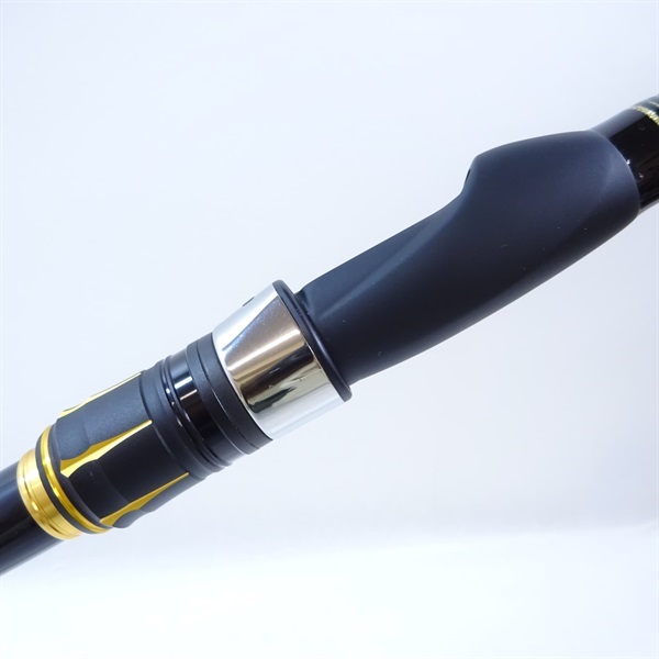 ２１アオリスタ５００